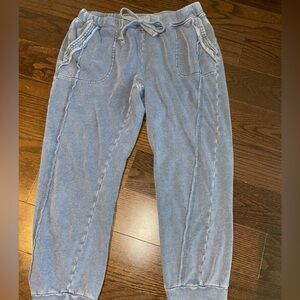 Free People Movement Blue Sweatpants